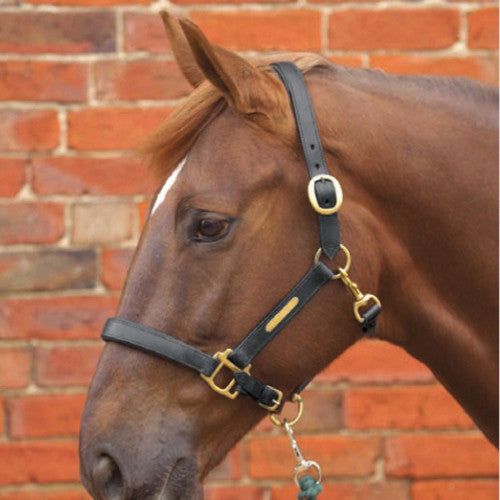 HY Pony Leather Headcollar Brown