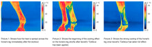 Load image into Gallery viewer, Leovet Cellsius Cooling Gel