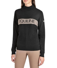 Load image into Gallery viewer, Equiline Egrae Jacquard Mock Neck Sweater