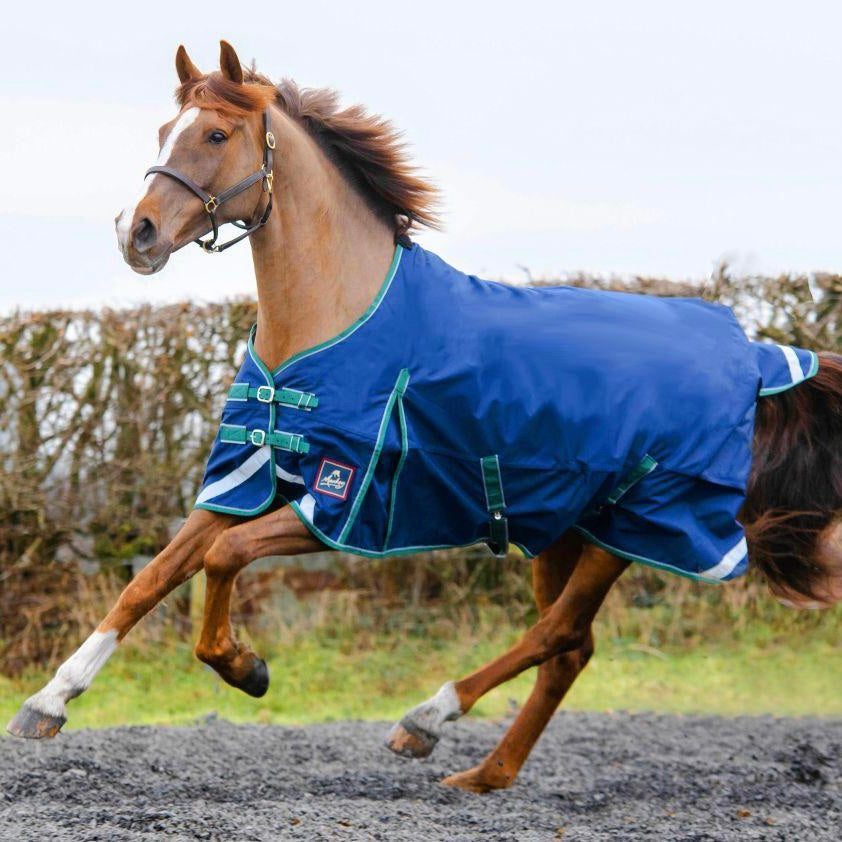 Mackey Keadeen Standard 100g Turnout Rug