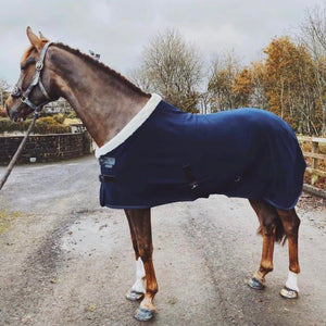 Teddy Fleece Cooler