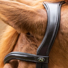 Load image into Gallery viewer, Premier Equine Glorioso Grackle Bridle