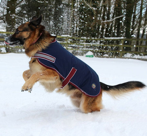 Mackey Buster Dog Coat