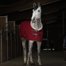 Load image into Gallery viewer, Teddy Fleece Cooler