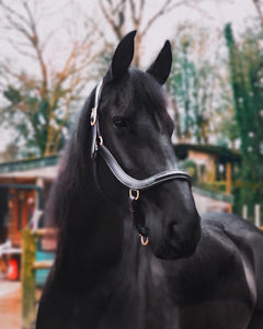 EcoRider Freedom Leather Headcollar