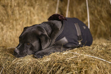Load image into Gallery viewer, Teddy Dog Fleece