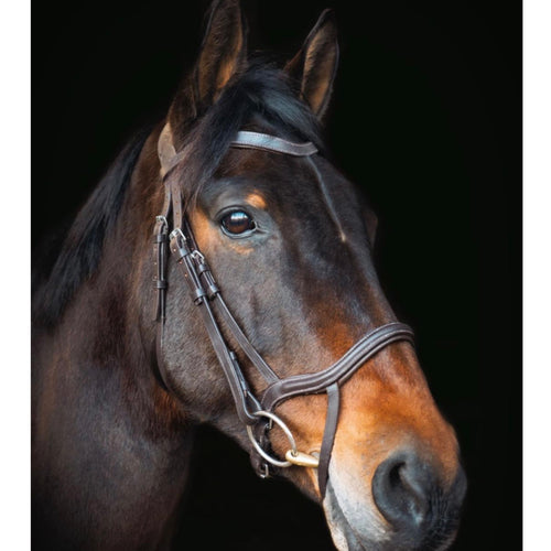 Cameo Performance Anatomic Bridle with Reins