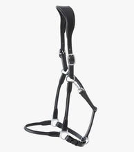 Load image into Gallery viewer, Premier Equine Hennaroso Rolled Anatomic Leather Headcollar