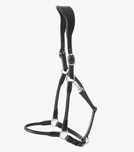 Premier Equine Hennaroso Rolled Anatomic Leather Headcollar
