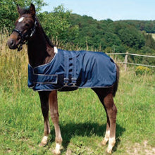 Load image into Gallery viewer, Waldhausen Foal Turnout Rug