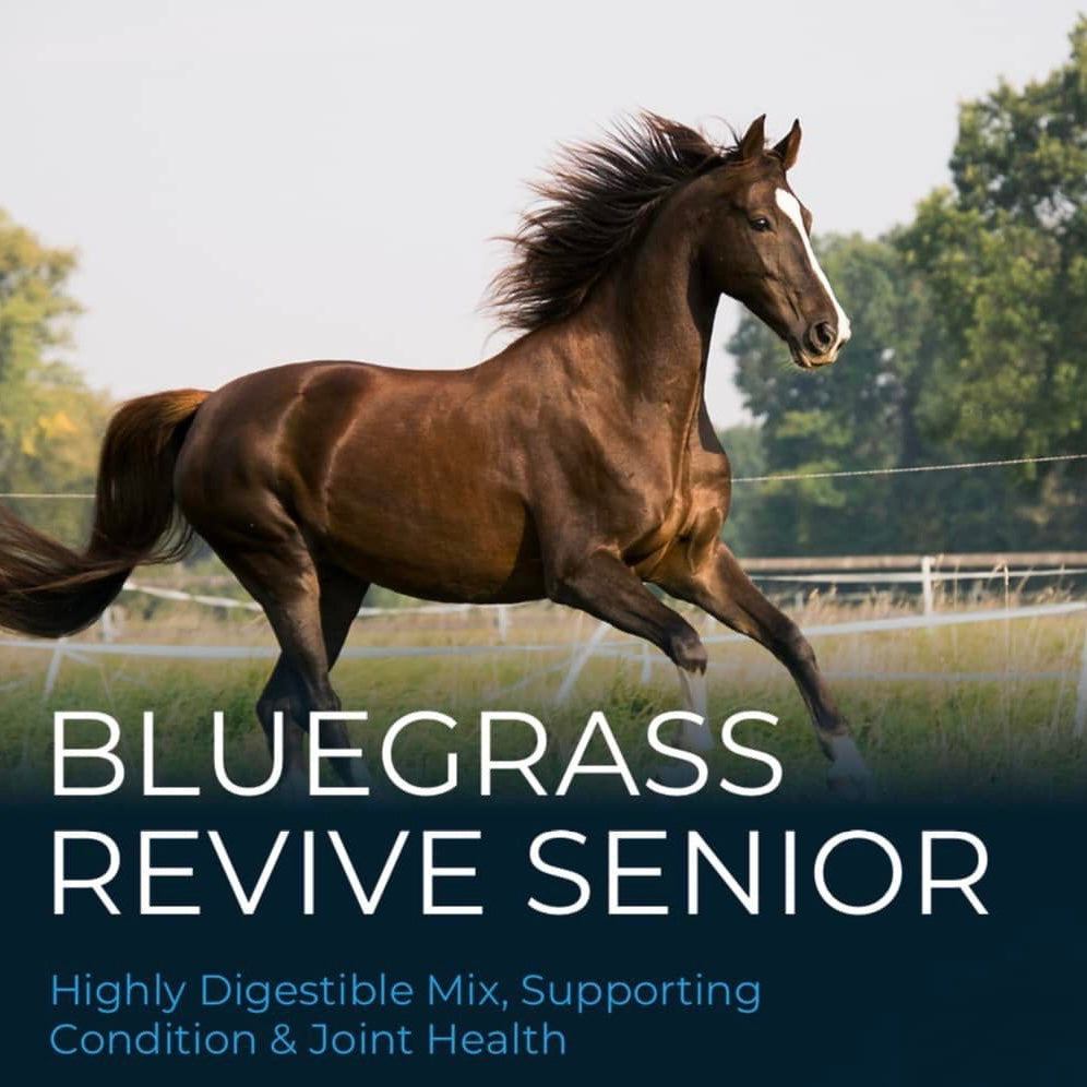 Bluegrass Revive Senior