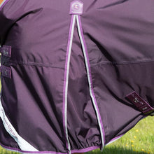 Load image into Gallery viewer, Premier Equine Buster 70g Turnout Rug with Classic Neck Cover