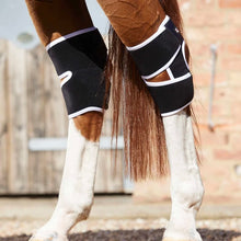 Load image into Gallery viewer, Premier Equine Magni-Teque Magnetic Hock Boots