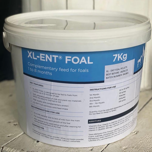 Bluegrass XL-ENT Foal Milk Pellets
