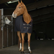 Load image into Gallery viewer, Teddy Fleece Cooler