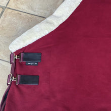 Load image into Gallery viewer, Teddy Fleece Cooler
