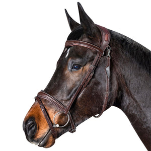 Equiline Anatomic Jumping Flash Bridle