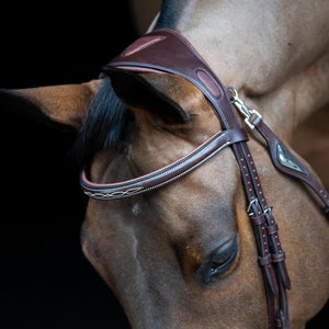 Equiline Anatomic Jumping Flash Bridle
