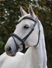 Load image into Gallery viewer, EcoRider Ecolux Comfort Bridle