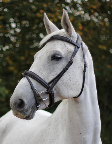 EcoRider Ecolux Comfort Bridle