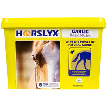Load image into Gallery viewer, Horslyx Balancer 5kg