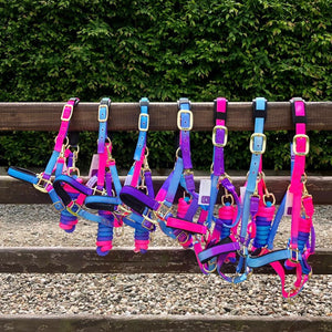 KM Elite Unicorn Headcollar & Rope Set