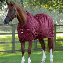 Load image into Gallery viewer, Premier Equine Tuscan Stable Rug