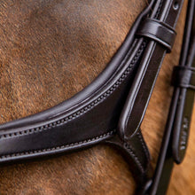 Load image into Gallery viewer, Premier Equine Glorioso Grackle Bridle