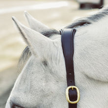 Load image into Gallery viewer, Mackey Legend Helios Leather Headcollar