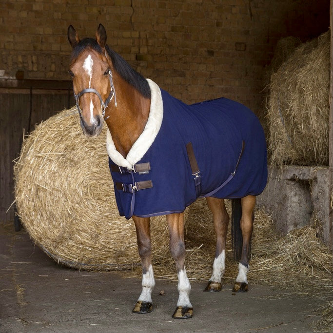 Teddy Fleece Cooler