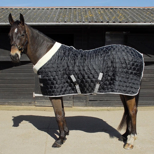 Teddy Quilted 150g Stable Rug