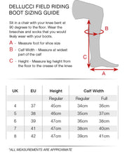 Load image into Gallery viewer, Premier Equine Dellucci Leather Riding Boots
