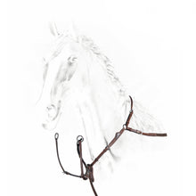Load image into Gallery viewer, Equiline Breastplate with Removable Martingale