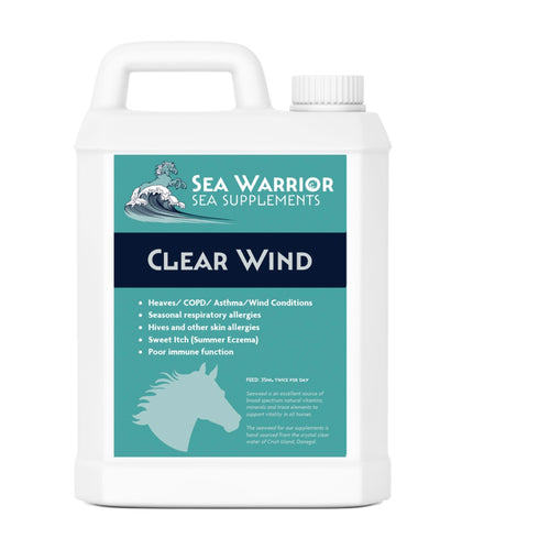 Sea Warrior Clear Wind