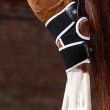Load image into Gallery viewer, Premier Equine Magni-Teque Magnetic Hock Boots