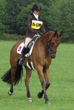 Load image into Gallery viewer, HY Equestrian Number Bib
