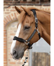 Load image into Gallery viewer, Premier Equine Fleece Padded Horse Headcollar