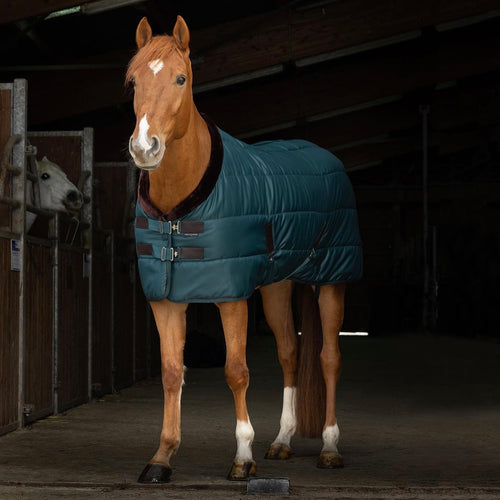 Teddy Quilted 200g Stable Rug
