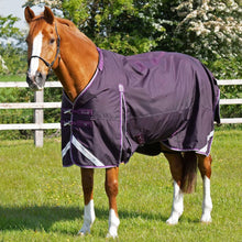 Load image into Gallery viewer, Premier Equine Buster 70g Turnout Rug with Classic Neck Cover