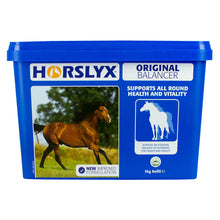 Load image into Gallery viewer, Horslyx Balancer 5kg