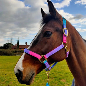 KM Elite Unicorn Headcollar & Rope Set