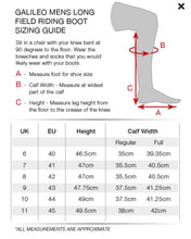 Load image into Gallery viewer, Premier Equine Galileo Mens Long Leather Riding Boots