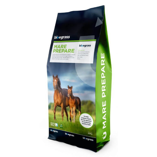Bluegrass Mare Prepare