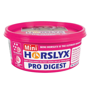 Horslyx Mini