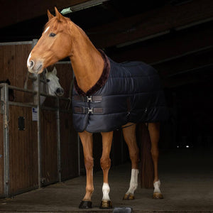 Teddy Quilted 200g Stable Rug