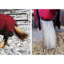 Load image into Gallery viewer, Veredus Blue Snow Shampoo