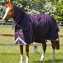 Load image into Gallery viewer, Premier Equine Buster 70g Turnout Rug with Classic Neck Cover