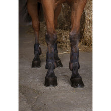 Load image into Gallery viewer, Norton XTR Velcro Tendon Boots